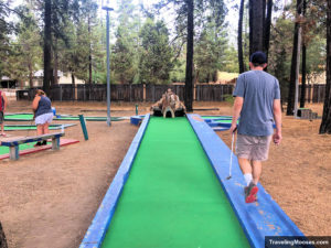 Man walks along hole on mini golf course