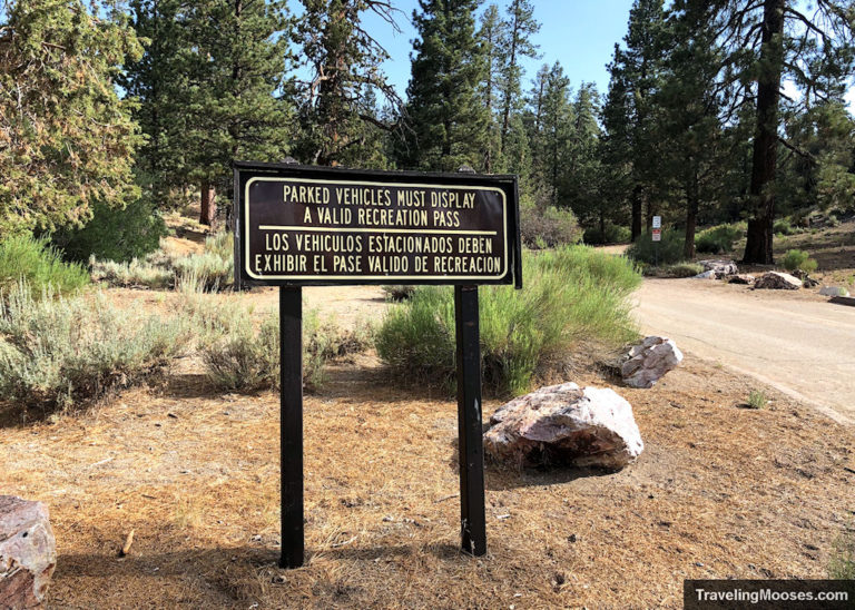 Woodland interpretive trail in Big Bear Lake – a complete guide