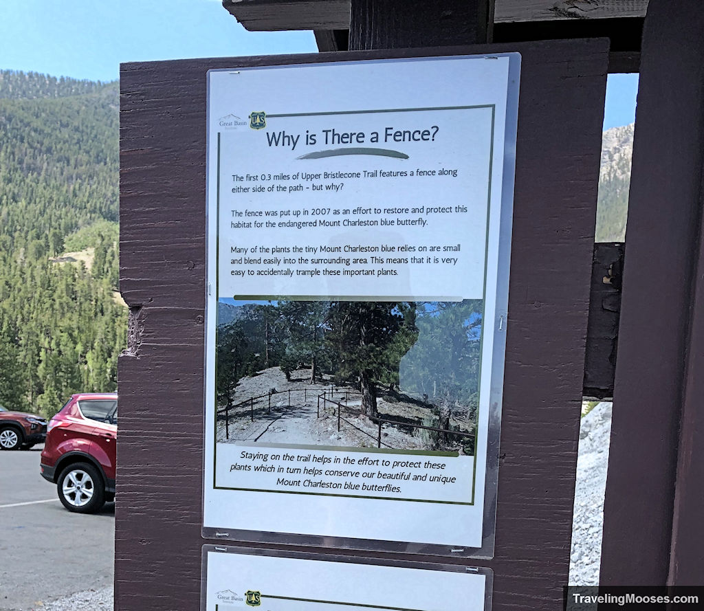 Information sign board at Upper Bristlecone Trail Loop - discussing "why there is a fence" - to save the Mt. Charleston Blue Butterfly