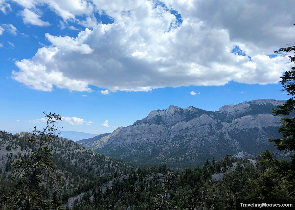 Mt Charleston