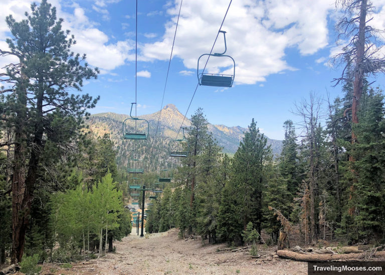 15 Best things to do in Mt. Charleston | Traveling Mooses