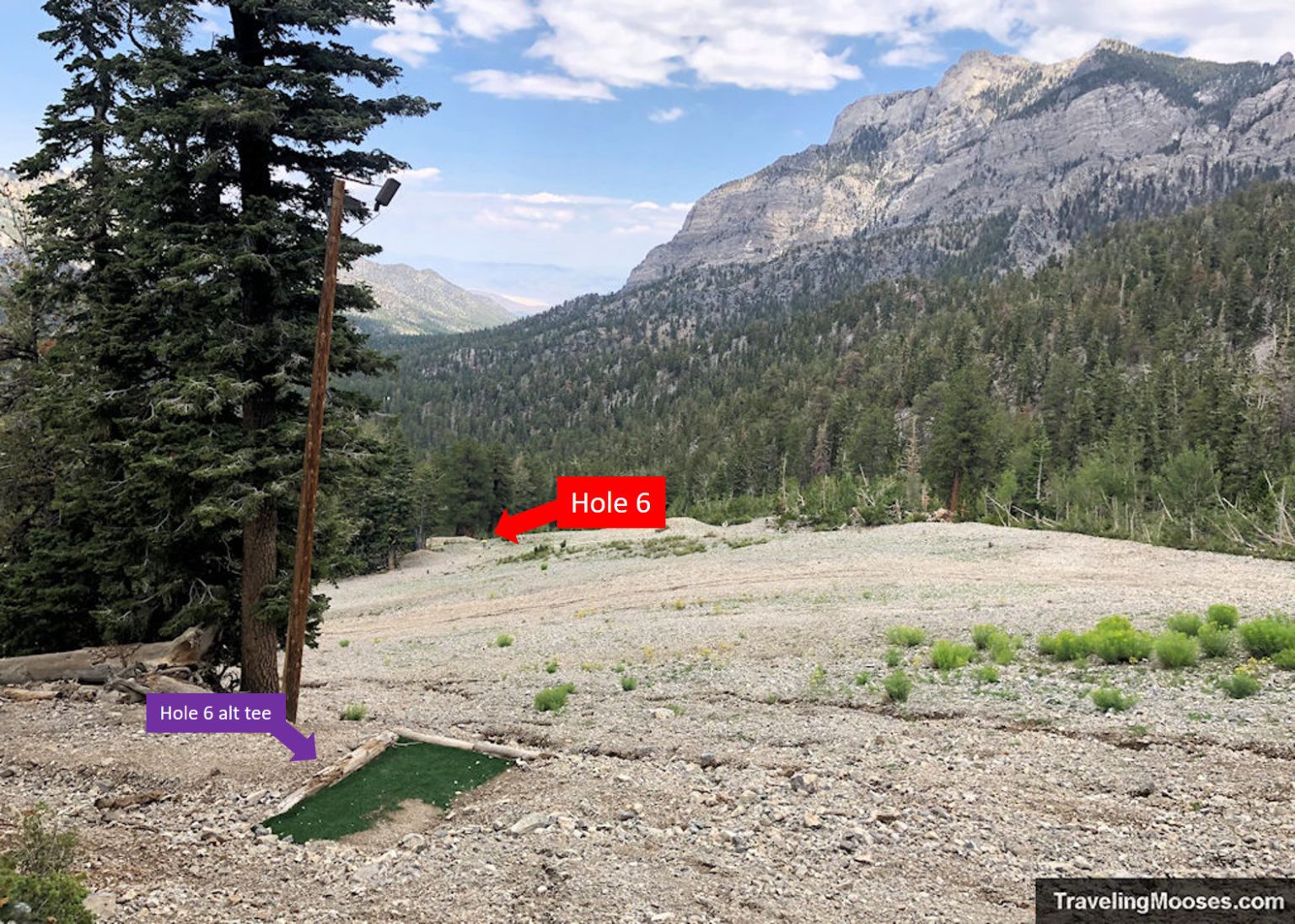 Lee Canyon Disc Golf Mt. Charleston, NV Traveling Mooses