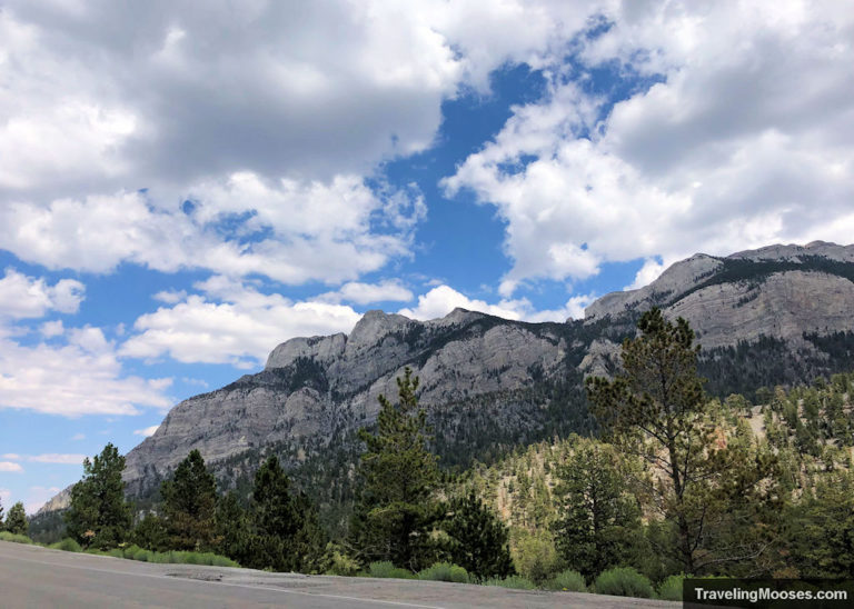 15 Best things to do in Mt. Charleston Traveling Mooses