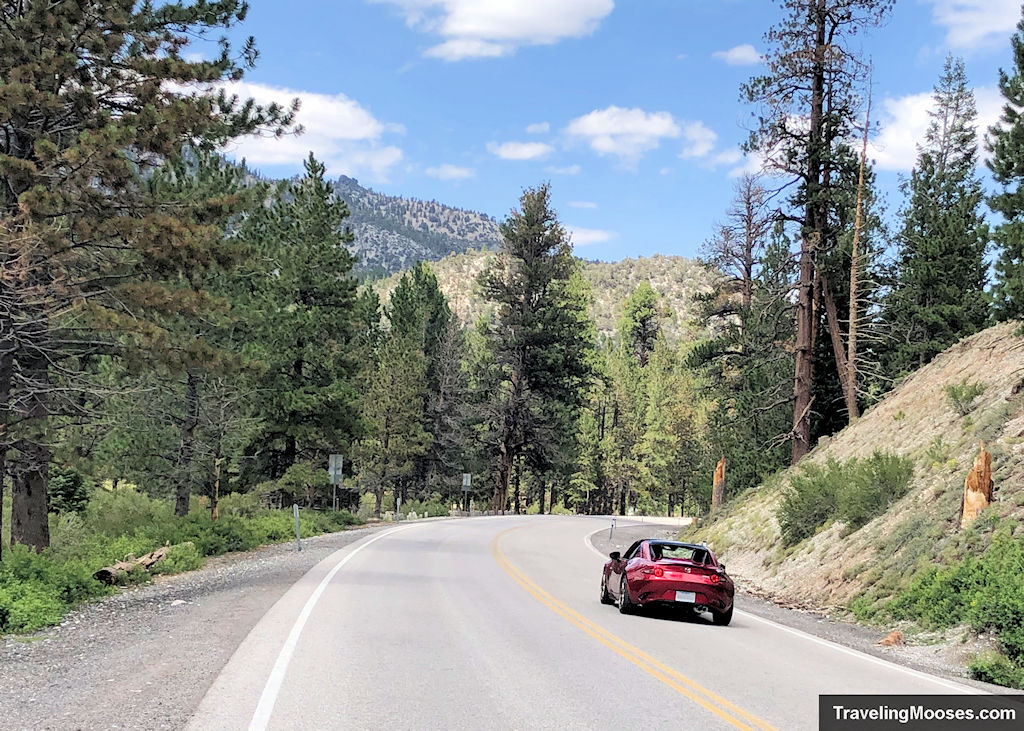 Mt Charleston Scenic Byway NV 156