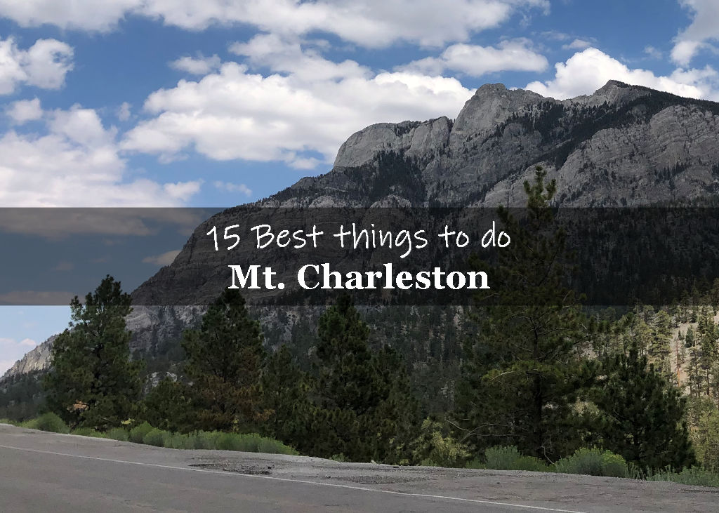Things to do in Mt Charleston