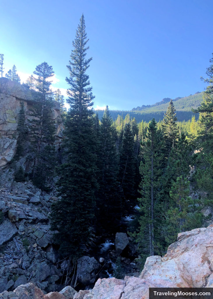 Alberta Falls trail