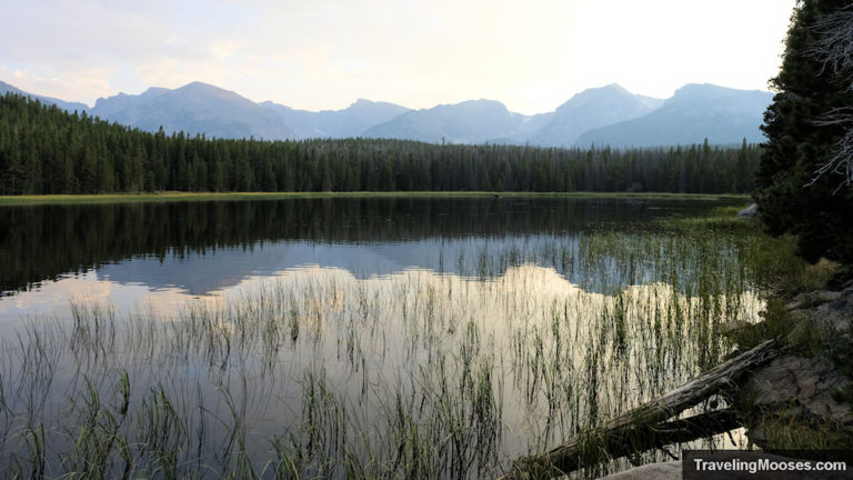 Bierstadt Lake Trail Rmnp The Best Place To See Moose