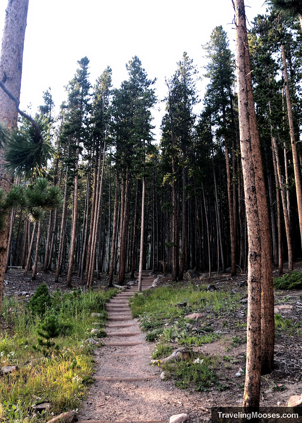 Bierstadt trail start of path