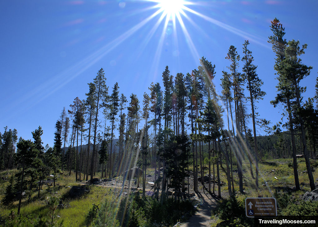 Sprague Lake Trail