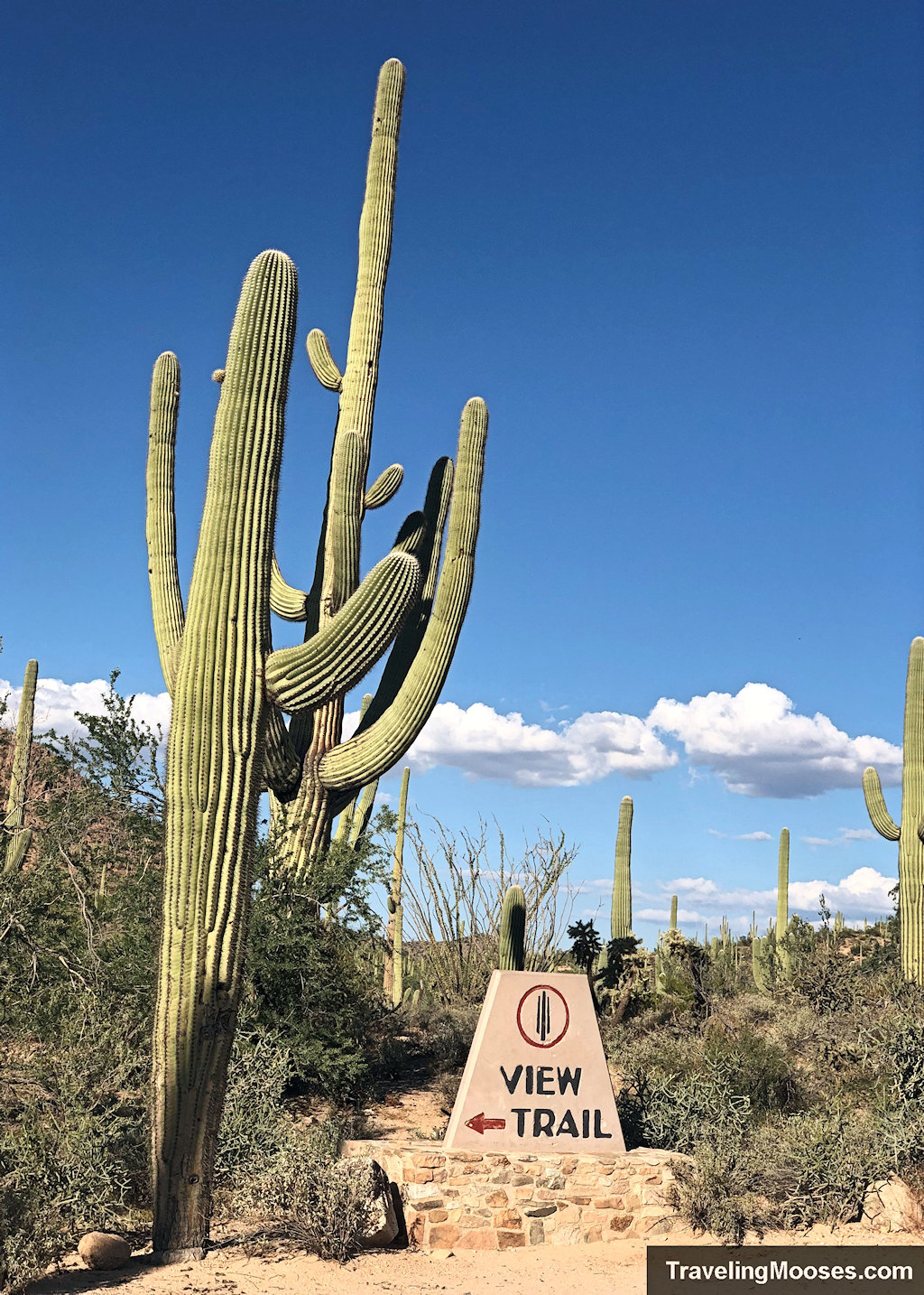 Valley View Overlook trail Saguaro park west
