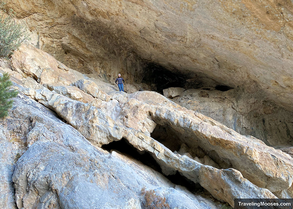 Robber’s Roost Trail – Mt. Charleston, Nevada