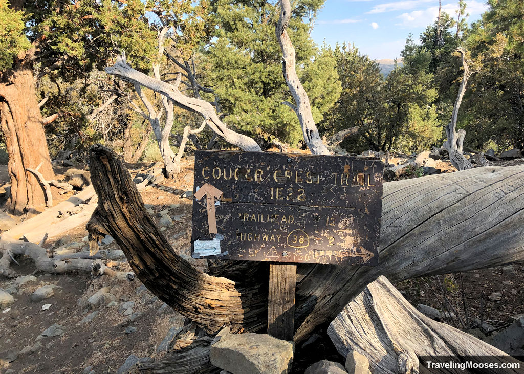 Cougar Crest Trail 1E22 Sign Marker