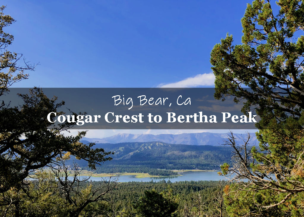 Cougar Crest Trail to Bertha Peak the Ultimate Hiking Guide