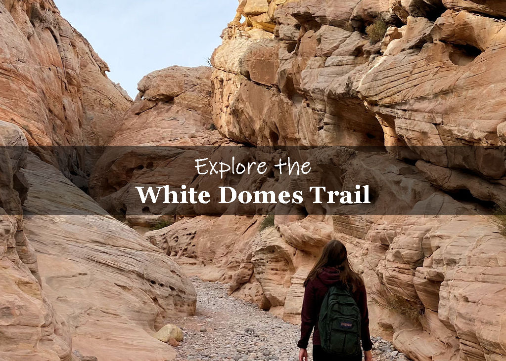 White Domes Trail in Overton NV