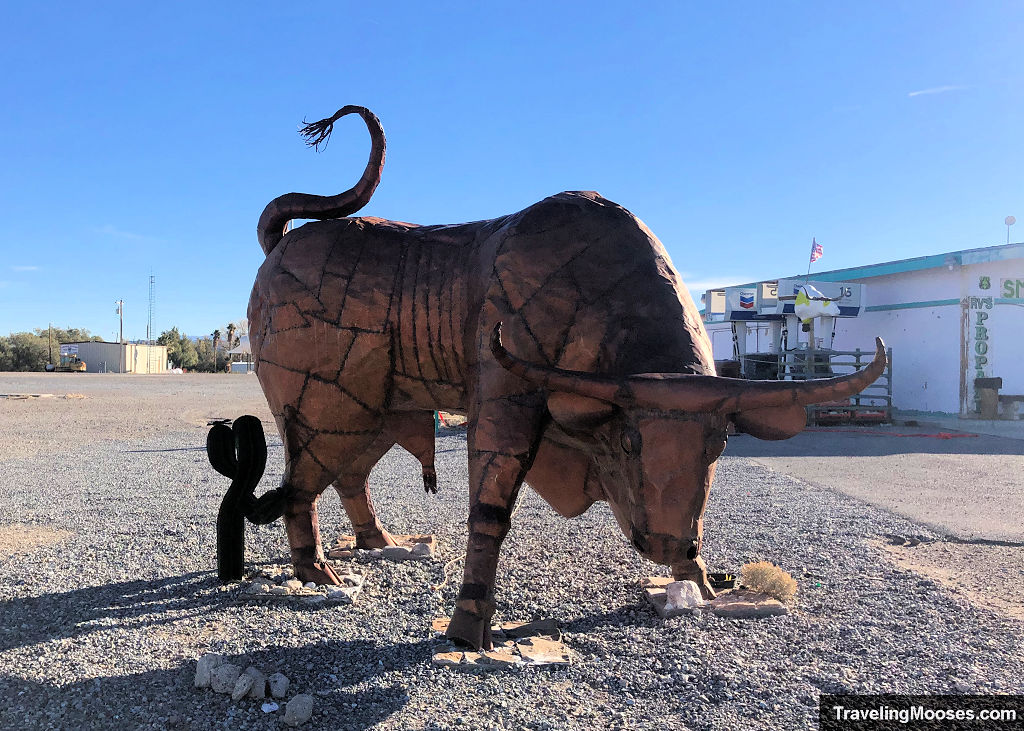 Bull across the street from Big Bovine Cow Amargosa Valley Nevada