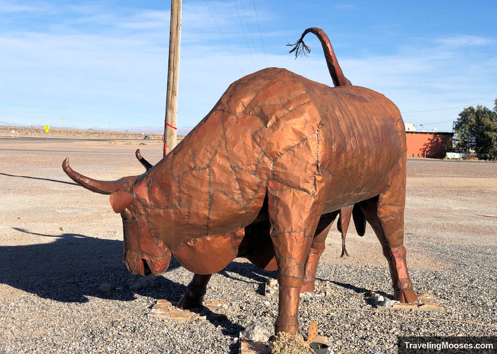 Bull at Amargosa Valley Gas Station