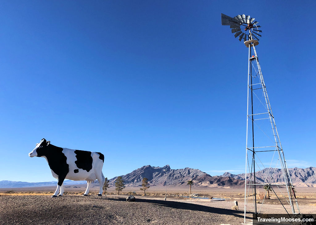 Giant Cow in the Nevada Desert