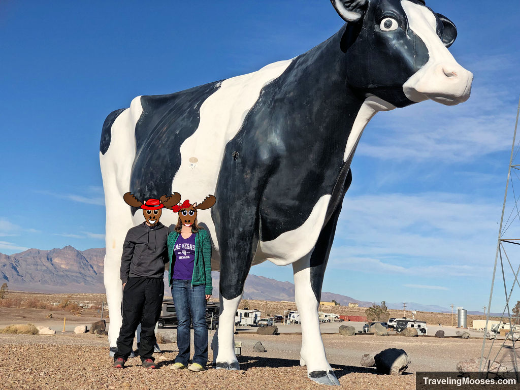 Giant cow in the desert showing two people for scale