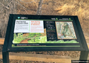 Explore Red Spring Boardwalk, Red Rock Canyon Nevada | Traveling Mooses