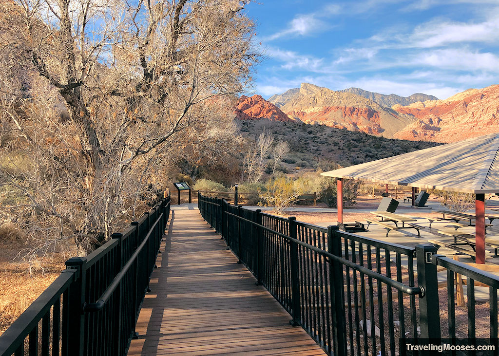 Explore Red Spring Boardwalk, Red Rock Canyon Nevada