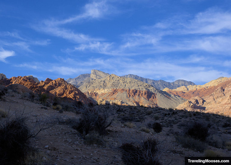 Explore Red Spring Boardwalk, Red Rock Canyon Nevada | Traveling Mooses