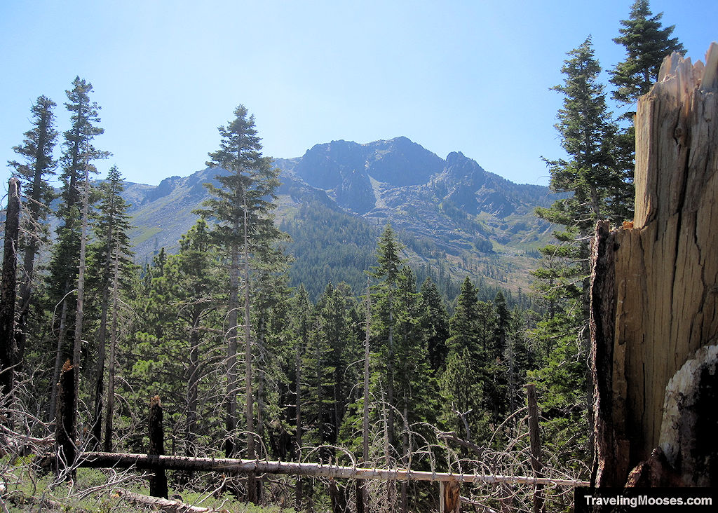 View of Mt Tallac from the trailhead