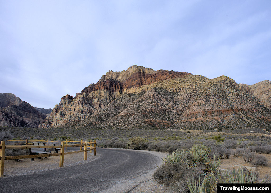 Visum ankomst krysantemum Red Rock Wash Overlook, Red Rock Canyon Nevada
