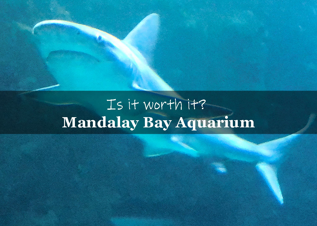 Is the Mandalay Bay Aquarium worth it