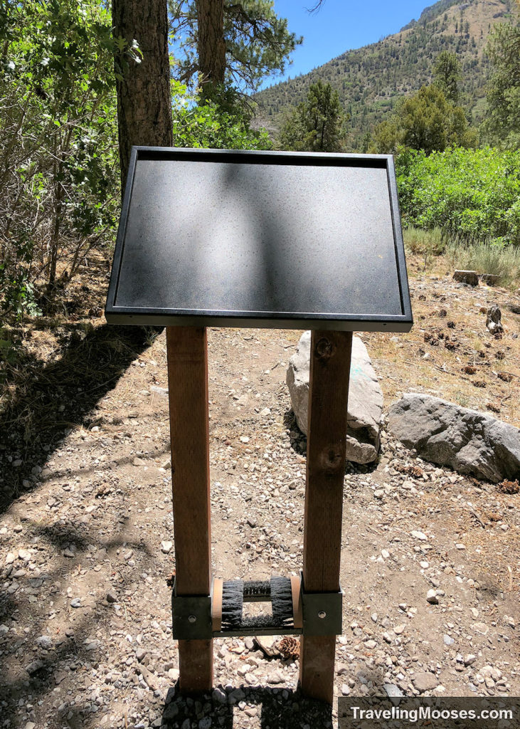 Hiking Boot Brush at Eagles Nest Trailhead