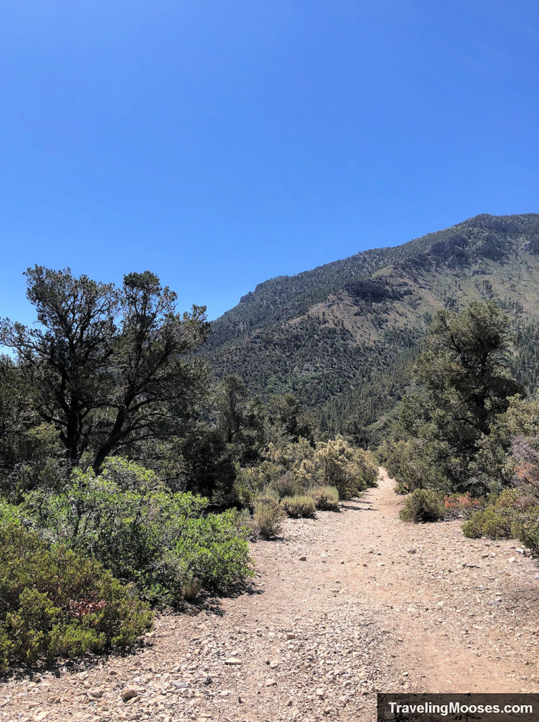 Dirt and rock trail with mountains in the background