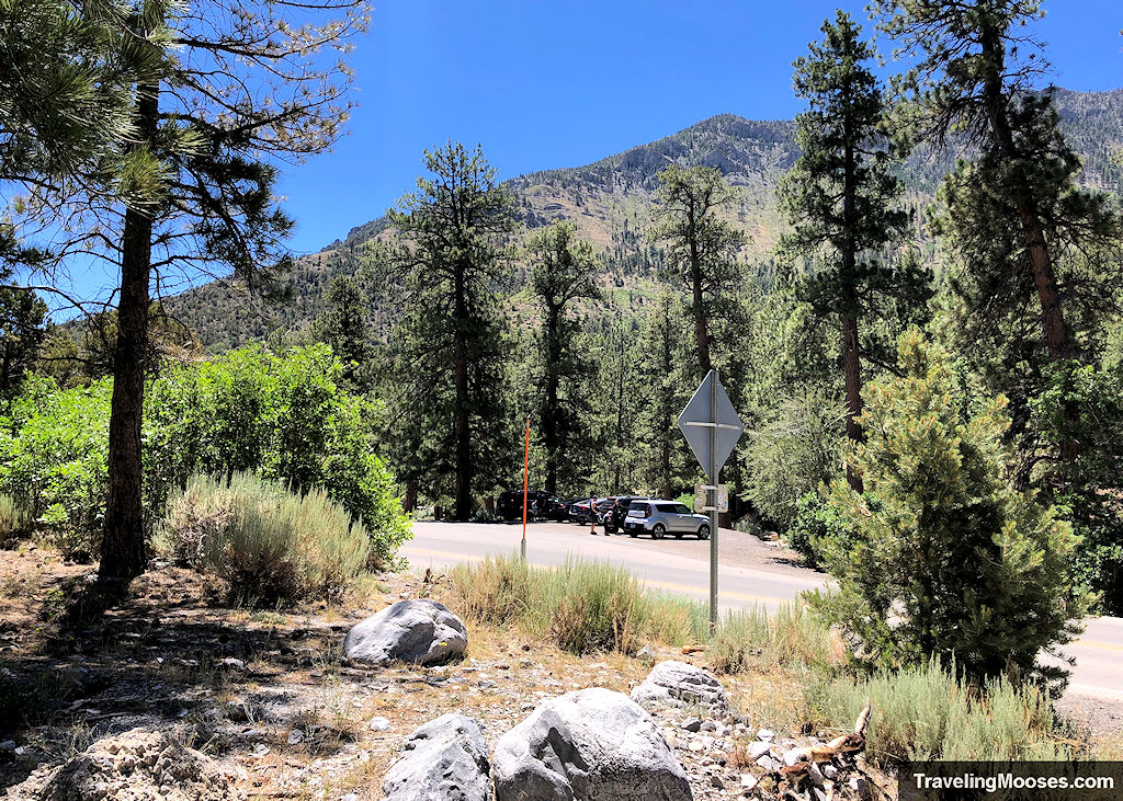 Overflow parking area at Eagle's Nest Trailhead