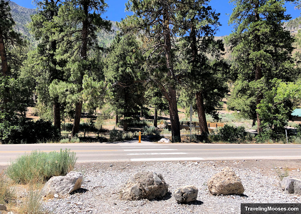 Cross Walk over NV-157 and Kyle Canyon Road to get to Eagles Nest Trailhead