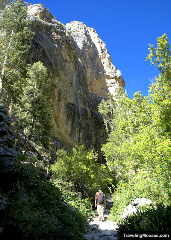 Hiking Fletcher Canyon Trail, Mt Charleston, Nevada – A Local’s Guide