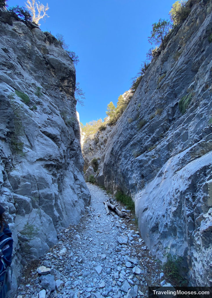 Canyon walls located within Fletcher Canyon Trail in Mt Charleston