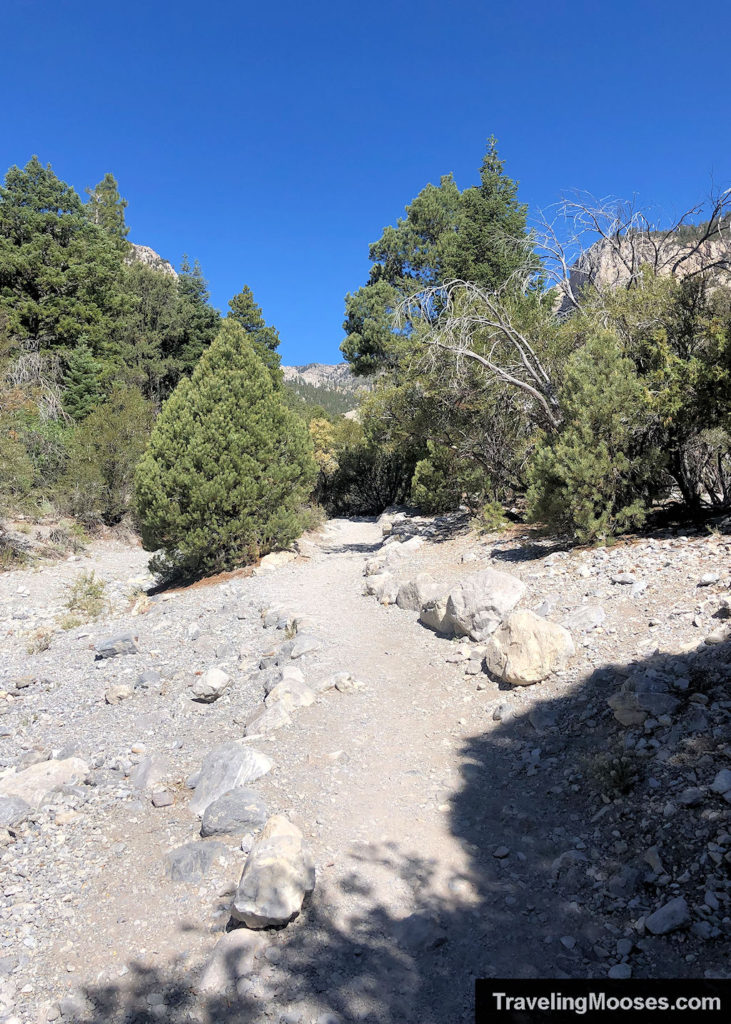 Stone lined path with trees in the distance