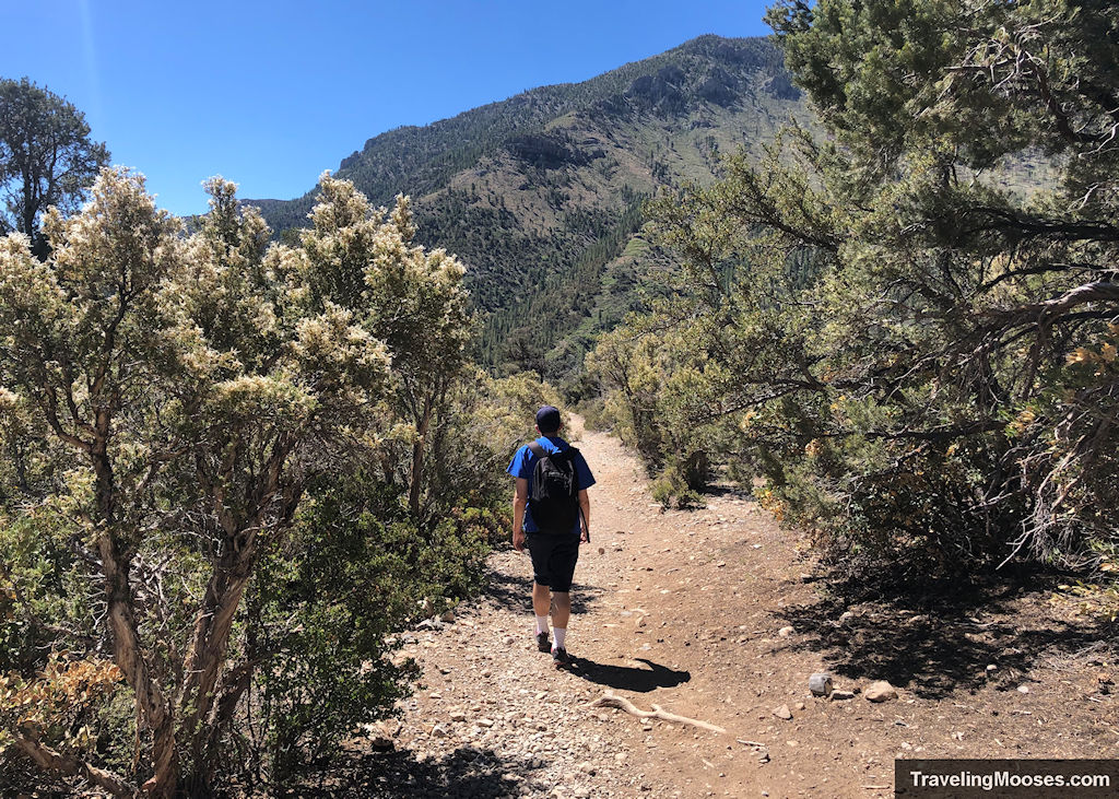 Man walkig along Eagles Nest Trail