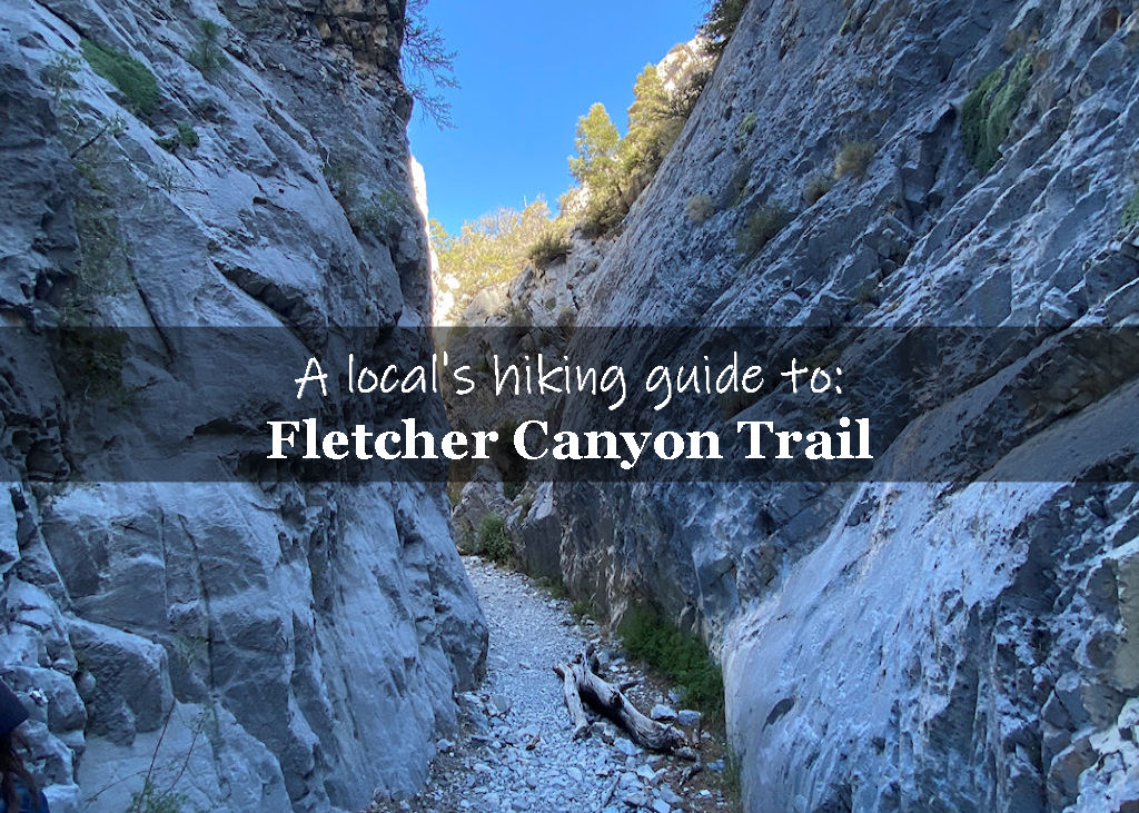Hiking Fletcher Canyon Trail Mt Charleston Nevada