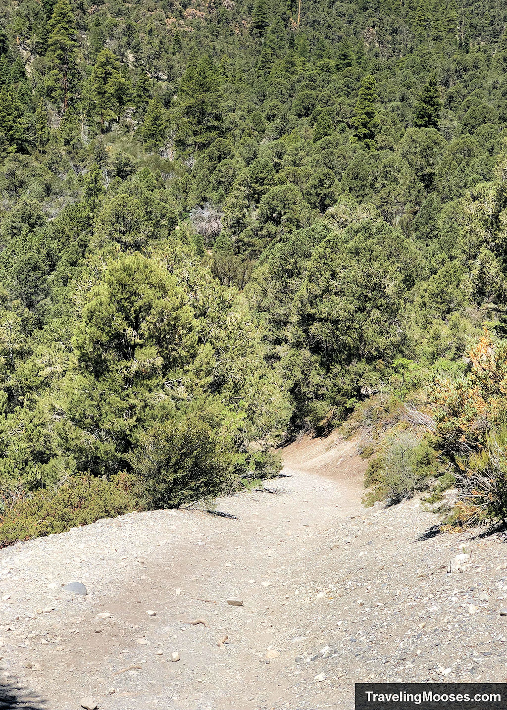 Looking down steep incline path on Eagle's Nest Trail