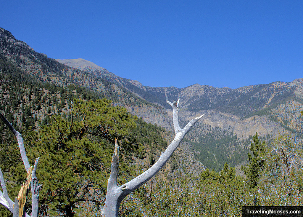 Mount Charleston Peak shown from Cathedral Rock Trail