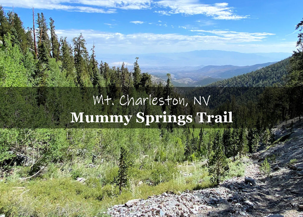Mummy Springs Trail Mt Charleston Nevada