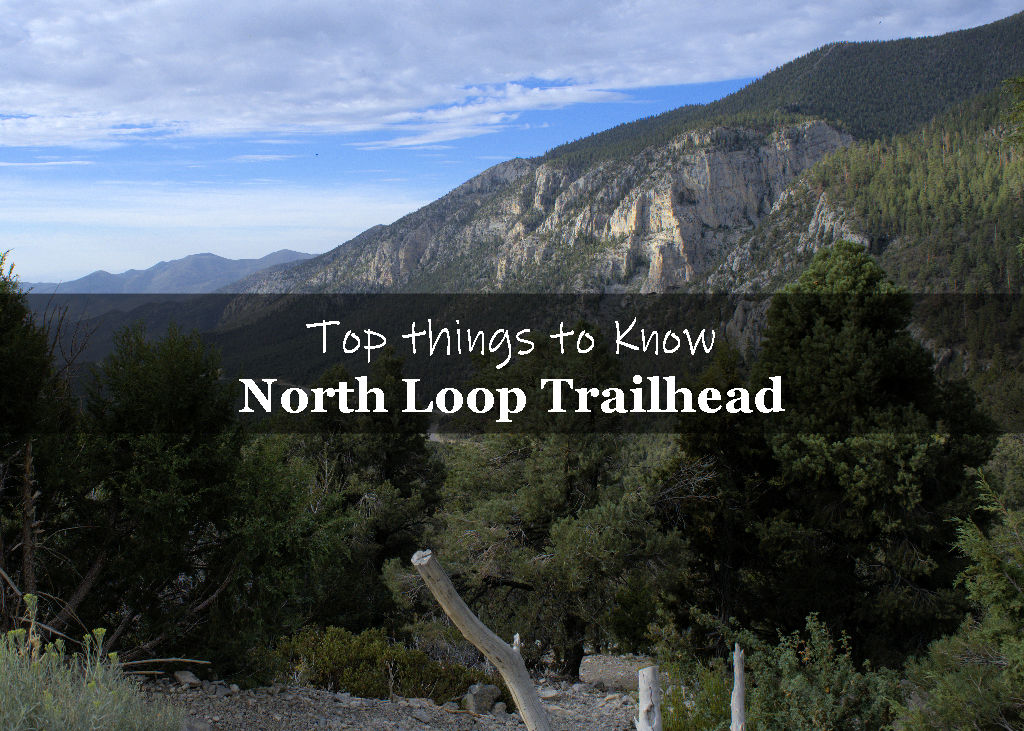North Loop Trailhead