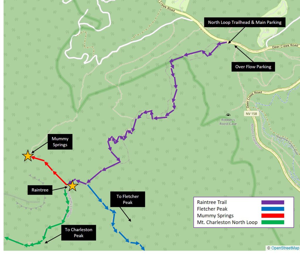 Map of the Raintree Trail with trail forks to fletcher peak, mummy springs and charleston peak