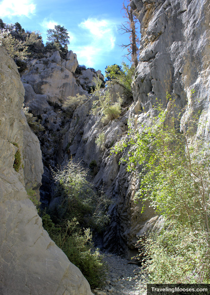View of slot canyons on Fletcher Canyon Trail in Mt Charleston Nevada