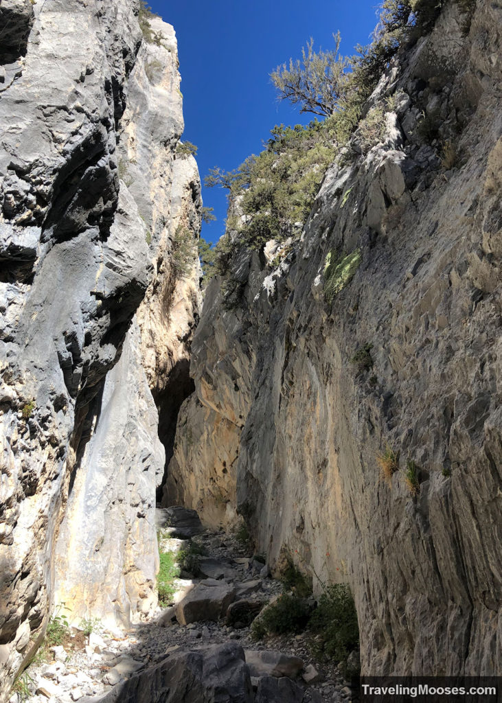 Slot Canyons in Fletcher Canyon Mt Charleston