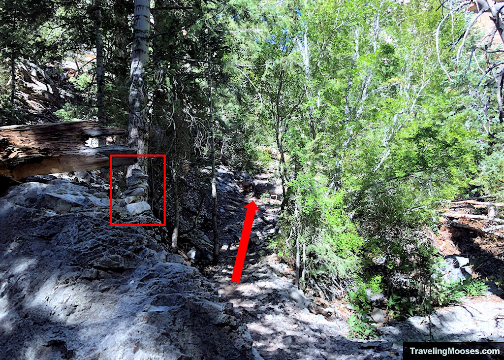 Cairn on side of Fletcher Canyon Trail Marking the Path