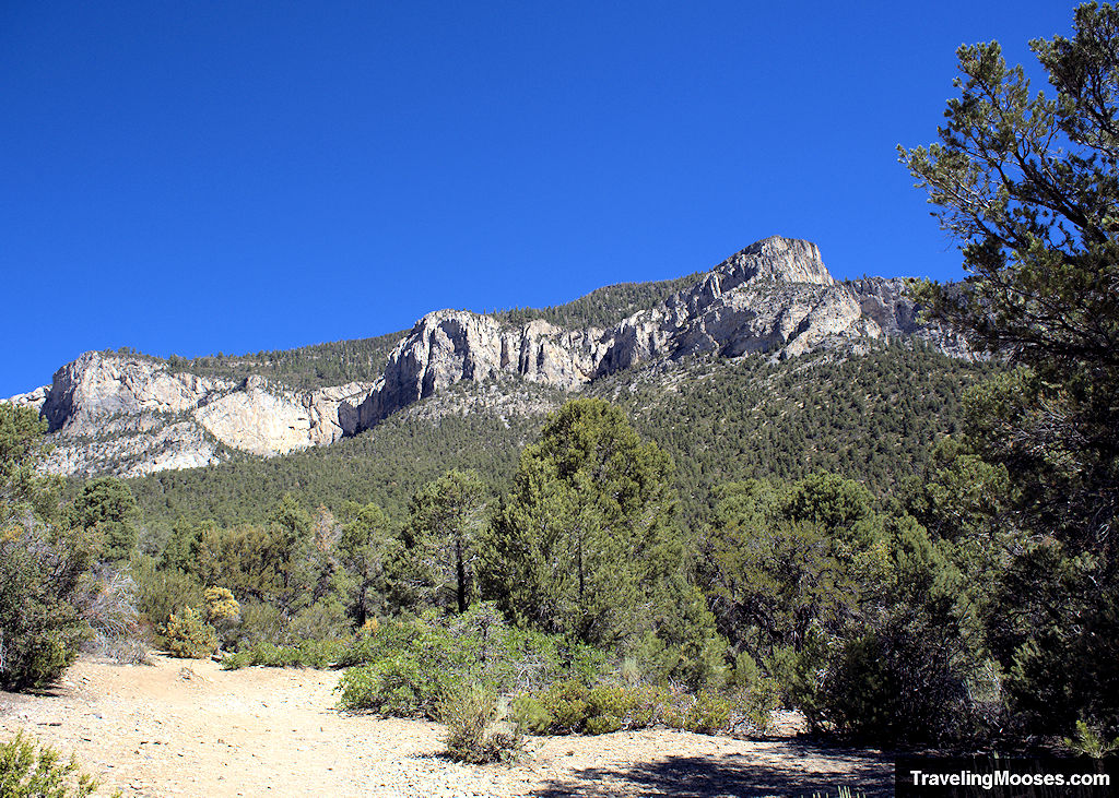 Fletcher Mountain view from Eagle's Nest Trail