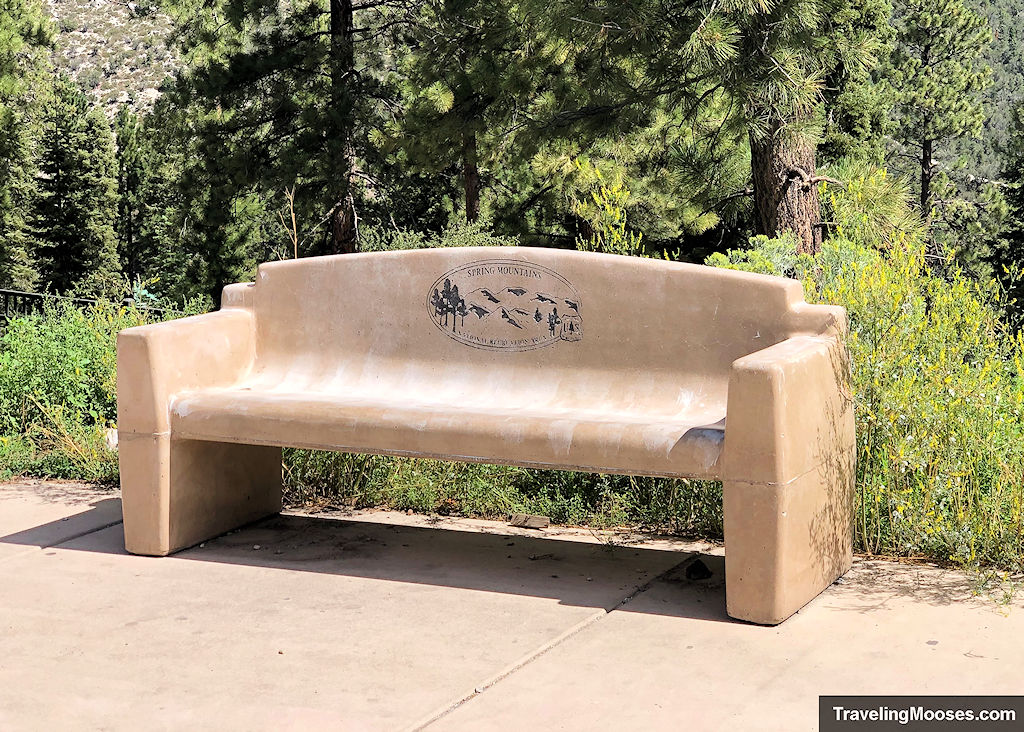 Bench at South Loop Trailhead Mt Charleston NRT