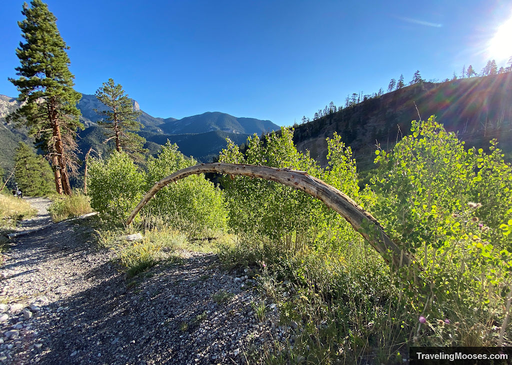 Echo OverlookTrail