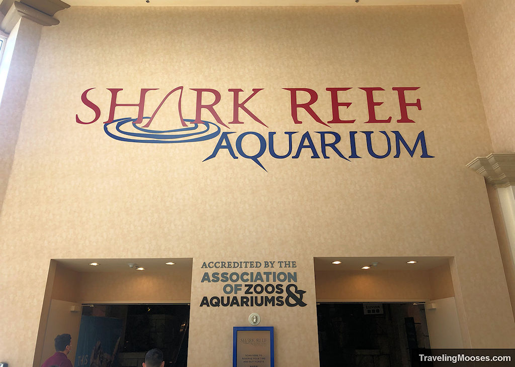 Main Tank at the Shark Reef Aquarium at Mandalay Bay