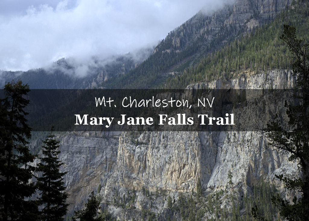 HIke Mary Jane Falls Trail in Mt Charleston, NV